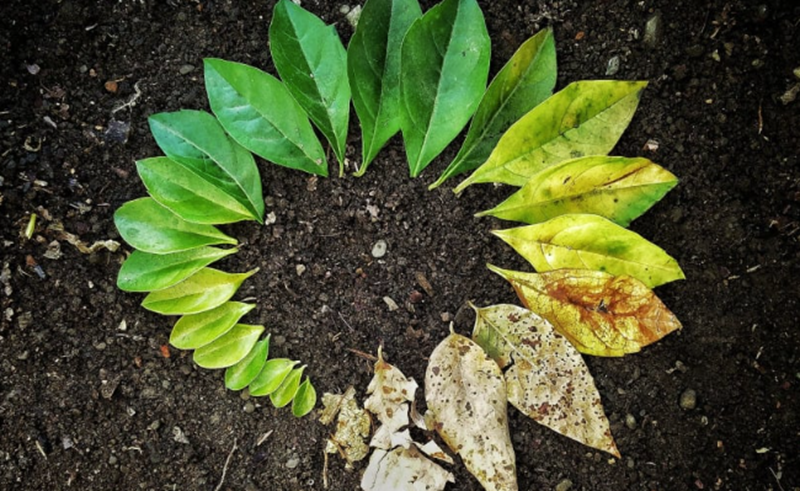 Tapchinghiencuuphathoc co phai neu da giac ngo chan de roi thi khong can tuc de nua