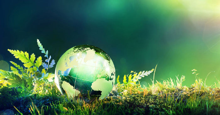 Tom tat cac loai chung song