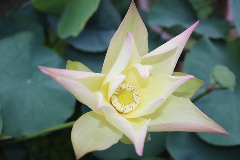 Z2360173621786 3c850f47487b4d1ad97be3faa1f87a87 9460