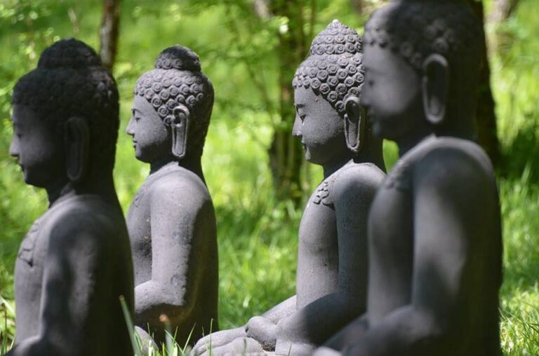 595451229 1348305736761880 7227787865222330604 n