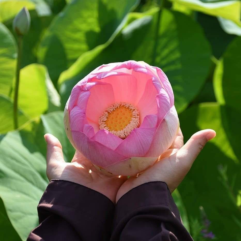 597670081 1354760076116446 7186097350545376995 n