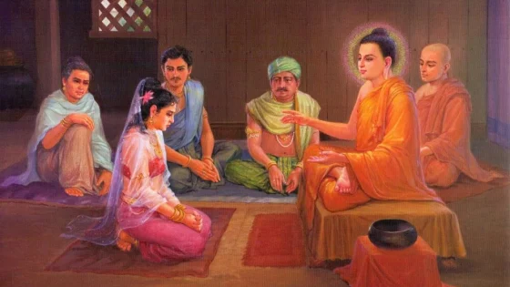 Dao vo chong theo loi phat day