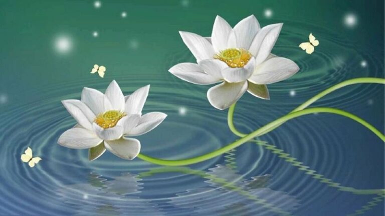 Hinh nen hoa sen 3d 13 15d74c7c2b