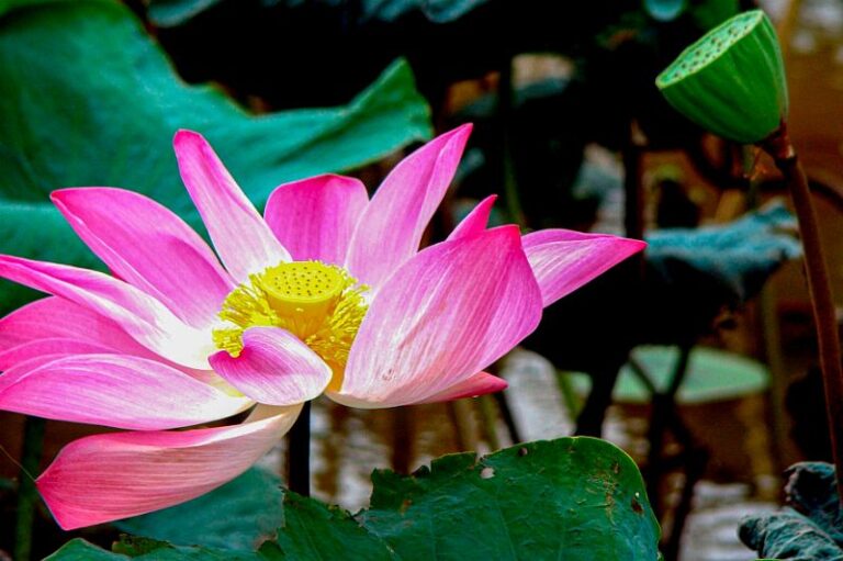 Mceclip0 1766646410 (1)