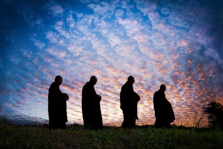 Tap chi nghien cuu phat hoc tu truong cua bac chan tu 1