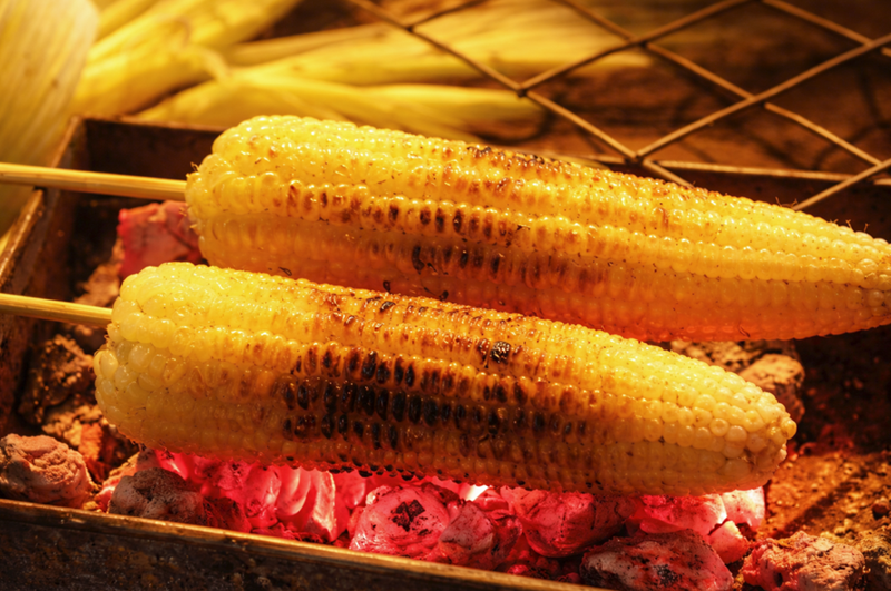 Tapchinghiencuuphathoc nho vi ngo nuong tuoi tho