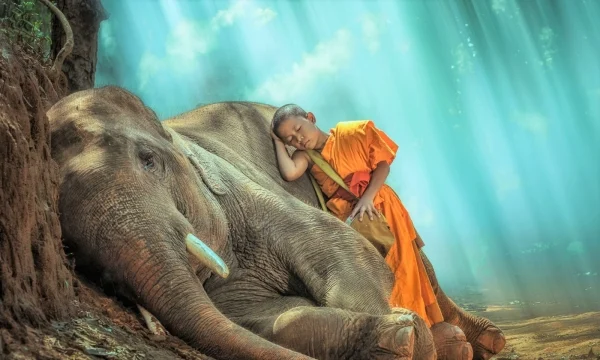 Trai tim mat troi thien su thich nhat hanh 2 1734