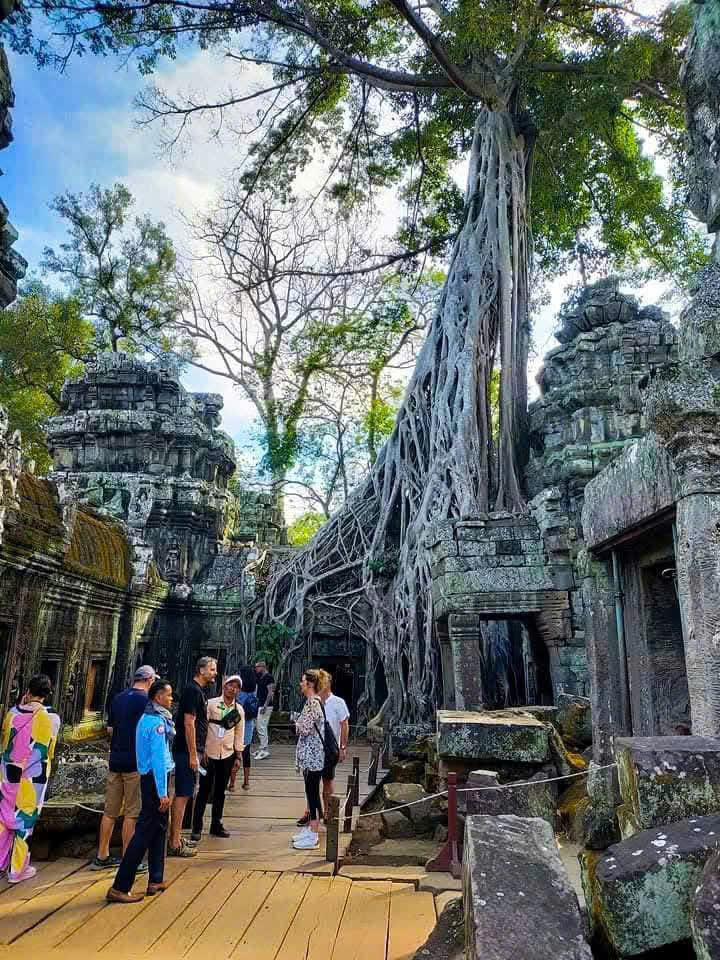 Z7297384020450 df359aec71e9288c03e53e283c1189a4