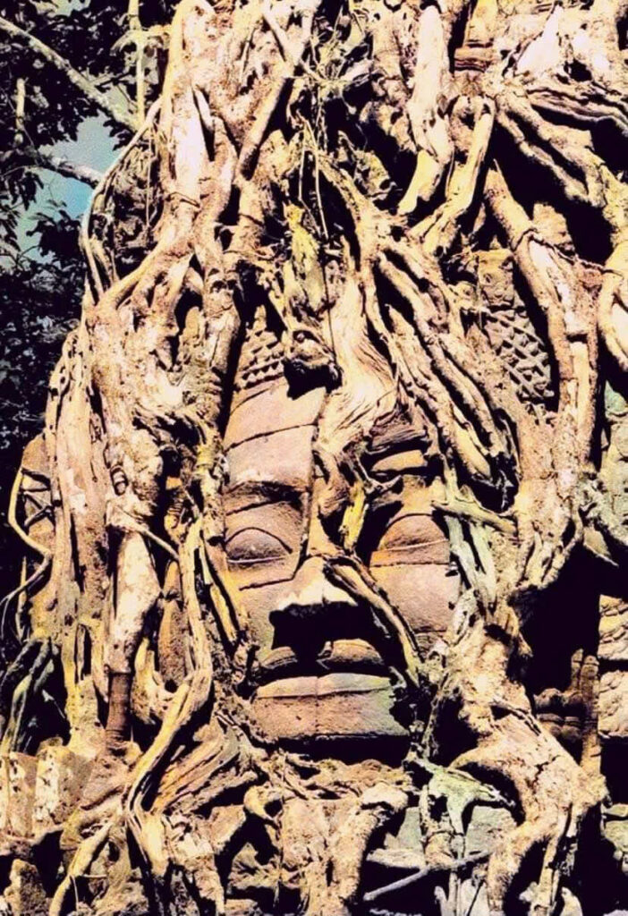 Z7297394330151 f74c5dbc26f26e51cb706b3396545ce0