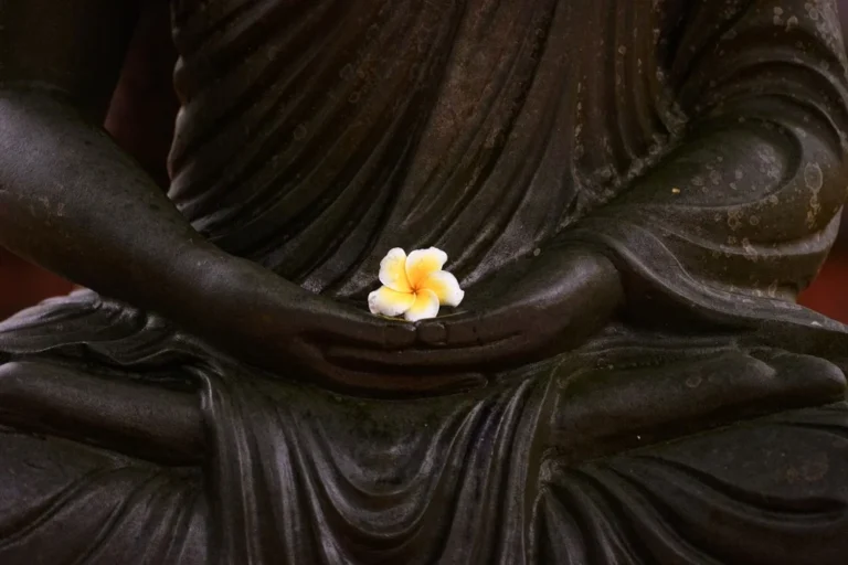 445374290 785494193684302 6770205346516765200 n