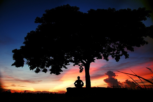 LangNgheTiengNoiNoiTam