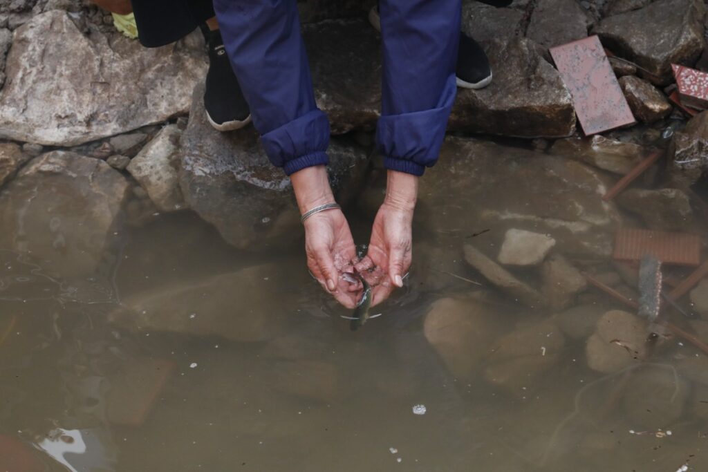 A3ce0bed 72a5 4050 8768 23311d8fca15