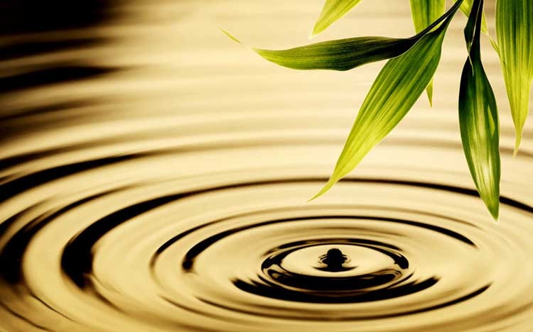 I.doanhnhansaigon.vn 2018 03 28 chanhniem1