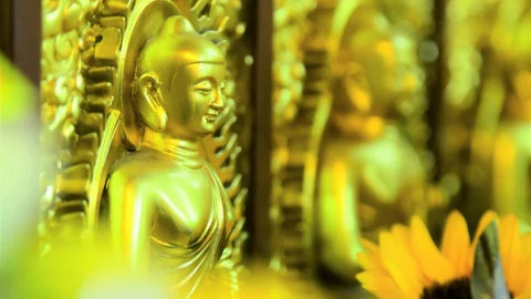 Kinhgiaogioiphulauna