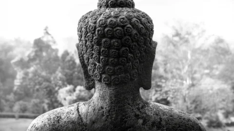 Nhung phap doan tru va nuoi duong nam trien cai