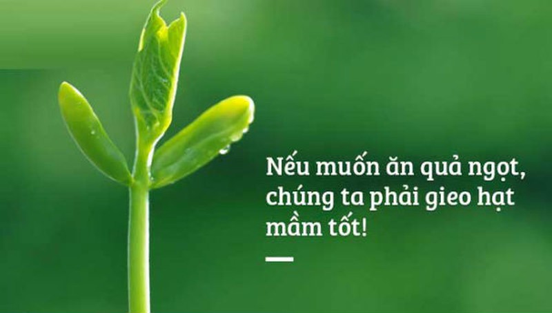 Quy luat nhan qua 2