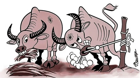 Su nguy hai cua do ky 1