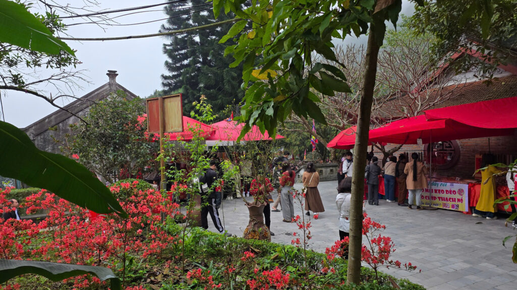 7fa178e442d5cc8b95c4