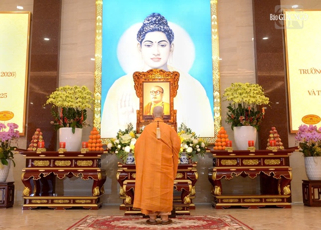 Downloads 00019 1117