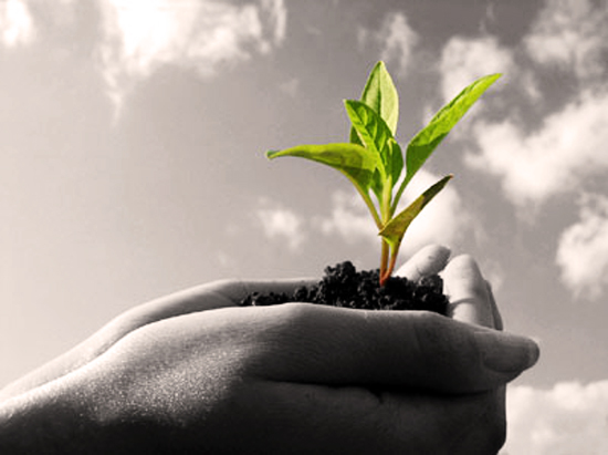 Dung hoi hot voi cuoc doi