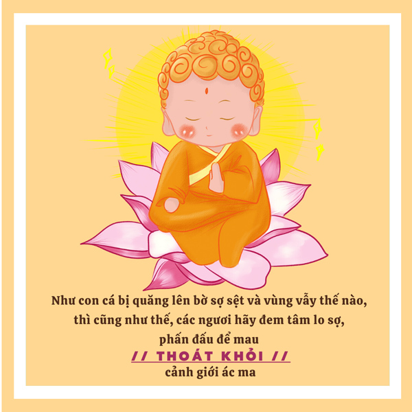 Kinh phap cu pham song yeu