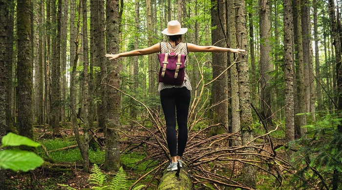 Thien nhien da dang sinh hoc co loi cho suc khoe tam than 17146268811571964144678 99 0 570 900 crop