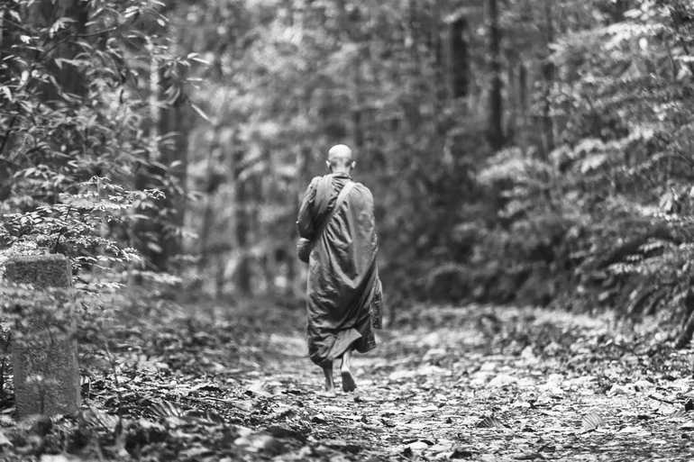 171666658 56a0c4c95f9b58eba4b3a8a2 5496 3032.jpg