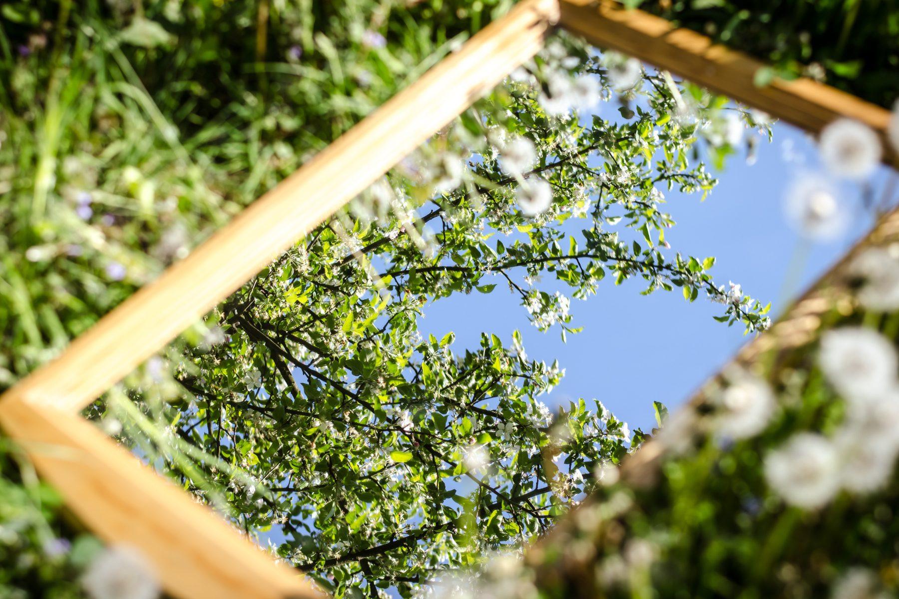 Hinh blog 1800 × 1200px