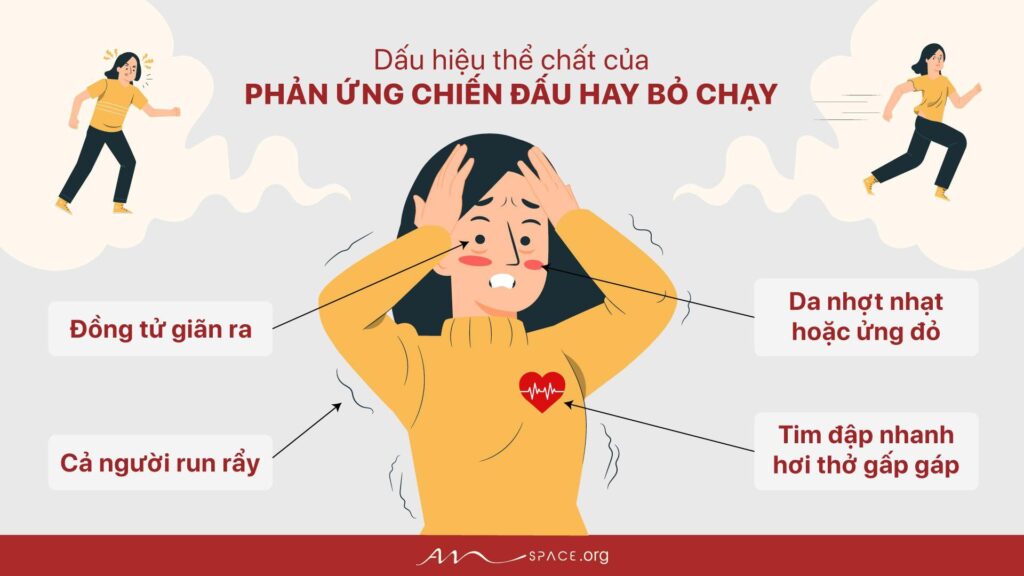 Phanung chiendauhaybochay