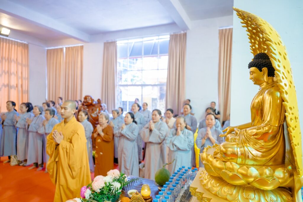 B631f27b 4aa2 4271 b81f e3981fdf9048