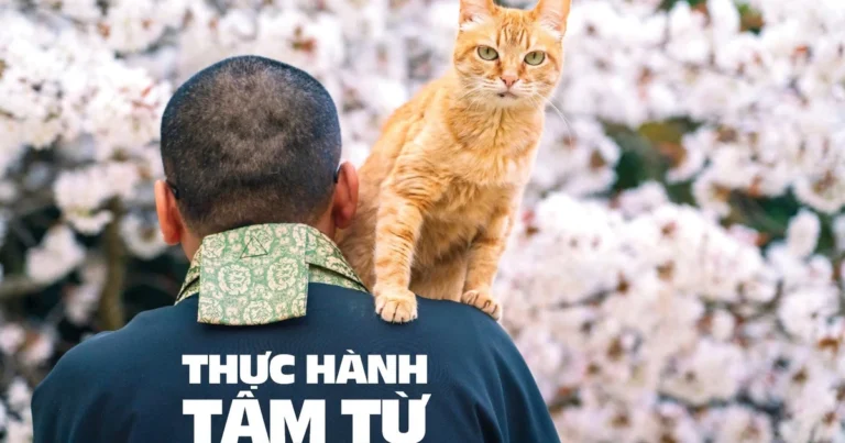 Cut hanhphuc 6092 7756.jpg