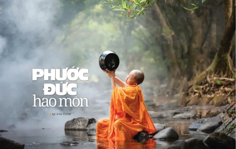 Cut quangtanh 3214.jpg