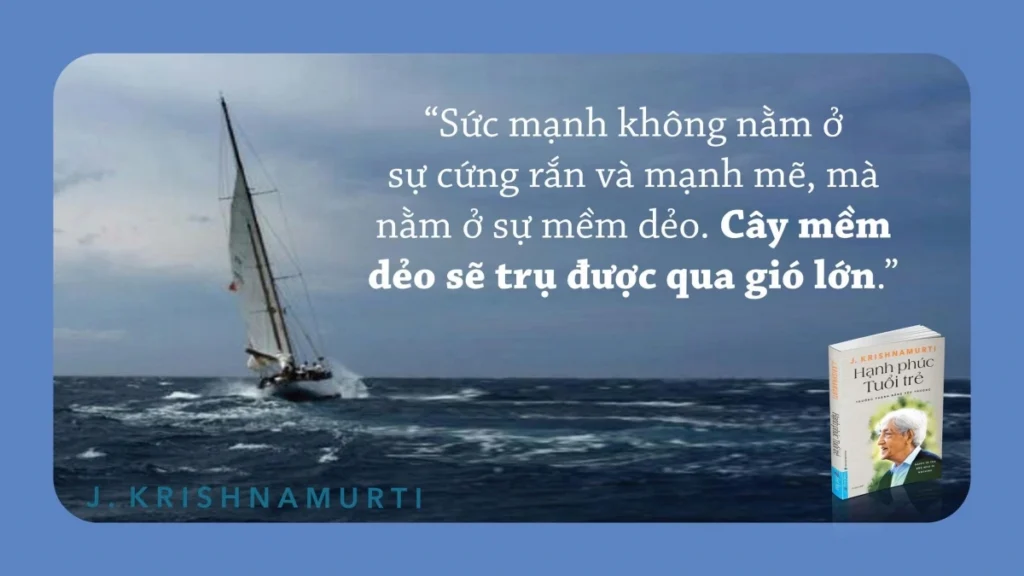 F7cde12c275b9005c94a