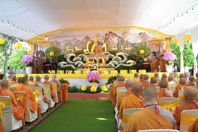 Img 8637 8265 7027.jpg