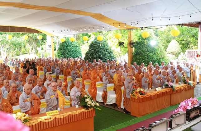 Img 8640 5391 1358.jpg