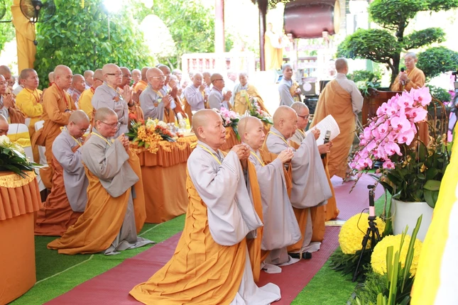 Img 8761 1869 3141.jpg