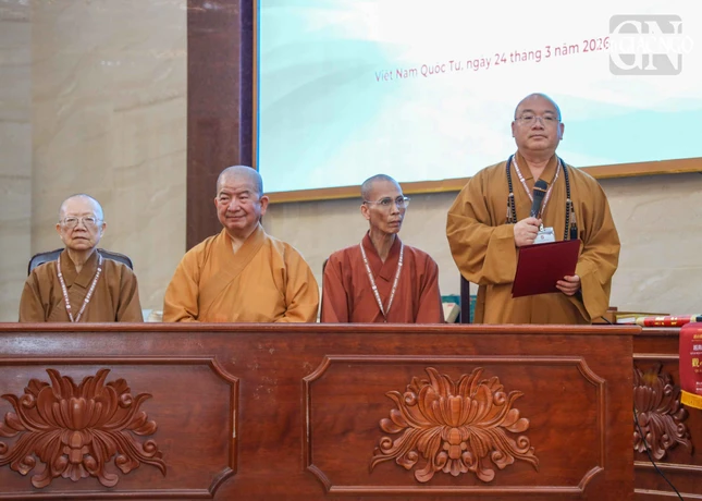 Ntai4523 9671 4389.jpg