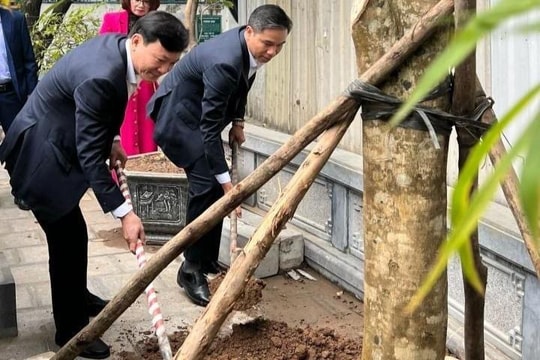 Z5175242766816 cb563d68c01f21c90e2df16b20a743b5(1)