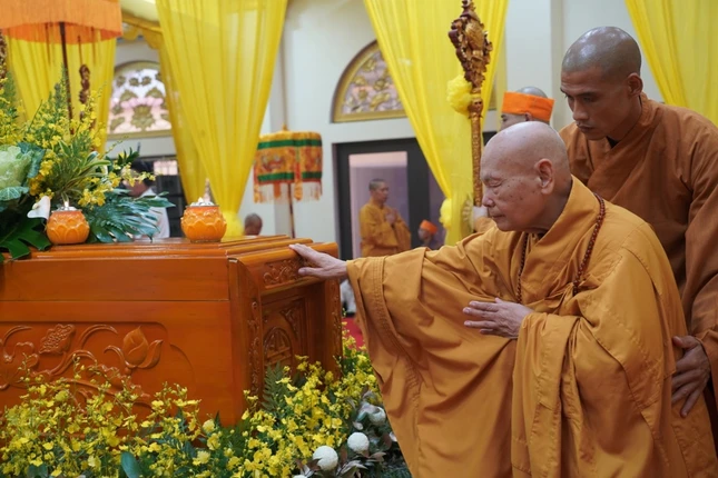 0191caa1 48de 4512 ae87 d8562aa4bec3 crop 9742.jpeg