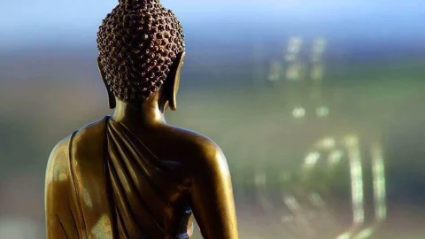 11180640 881078705281292 2628080442246107179 n