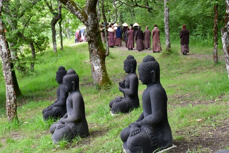 236529215 1982664745225548 8136431057423669419 n 2956.jpg