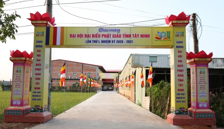 298a2268 141 9046.jpg