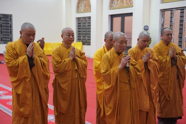 40ab28c1 c90c 4a83 baf1 97e02cfd00d4 crop 9725.jpeg