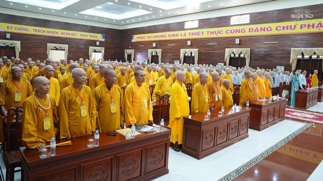 Can00224 9657 2721.jpg