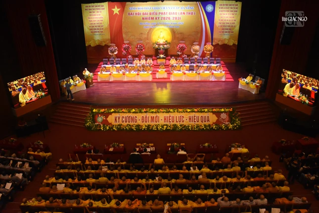 Dsc 2408 9187 4580.jpg