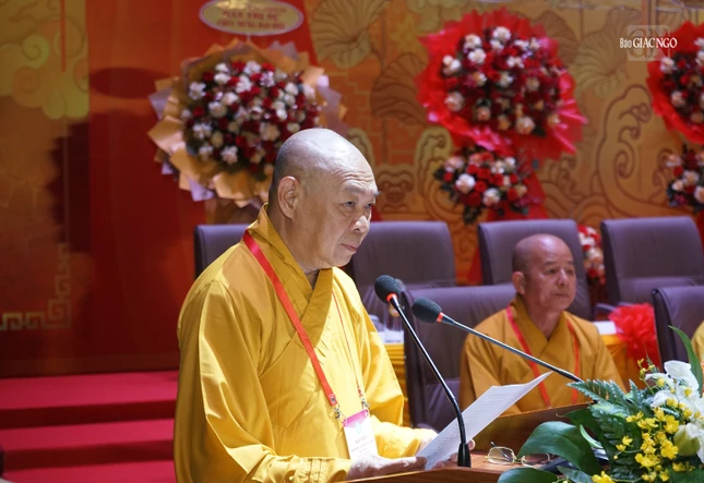 Dsc02489 1241 9192.jpg