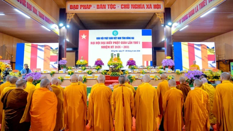 Dsc02579 8822 4730.jpg