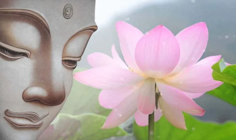 Hinh nen hoa sen phat giao