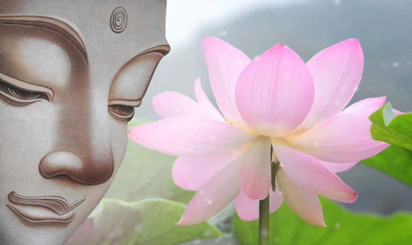 Hinh nen hoa sen phat giao