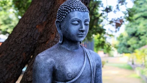 Kinh bach du uong nuoc trong thung go